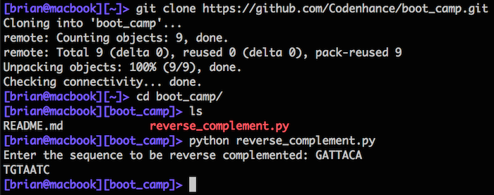 Screenshot of cloning and running reverse complement script